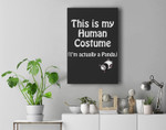 This is My Human Costume I'm Actually a Panda Premium Wall Art Canvas Decor