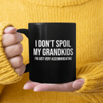 I Don't Spoil My Grandkids I’m Just Very Accommodating Mug Funny Quote Mug