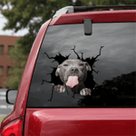 Pitbull Cracked Car Decal Sticker - NH0821OS