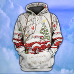 I Am Always With You Christmas Red Cardinal Snow Hoodie And Zip Hoodie - TG1221HN