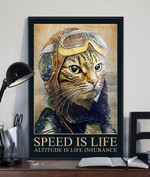 Cat Pilot Poster & Canvas - AD1121OS