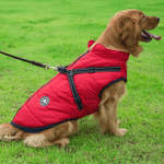 (🌲Christmas Hot Sale) Waterproof Winter Dog Jacket With Harness【BUY 2 FREE SHIPPING】