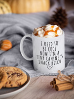 I used to be cool mug [MADE & SHIPPED IN USA]