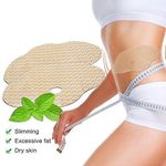 Quick Slimming Patch (5pcs | 10pcs Pack) - LimeTrifle