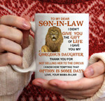 UK - Best Son-in-Law Mug - Son in law Coffee Mugs - Funny Son-In-Law Gift - Unique Family Gag Gift - Birthday Christmas Novelty Present Ideas Cup Ceramic 11oz
