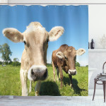 Close Up Cows Shower Curtain