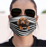 Reusable Washable Dachshund Stripes Cloth Mask With Antibacterial Filter Layer