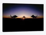 Silhouette Of The F-22 Raptor