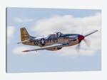 A P-51 Mustang Flies By At Vacaville, California