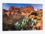 Chisos Mountains with Prickly Pear Cactus II