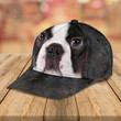 Boston Terrier Classic Caps ntk-30tp006