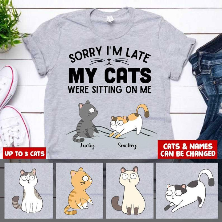 MY CATS WERE SITING ON ME Personalized Cat T-shirt NLA-16NQ010 Dreamship