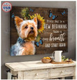 YORKSHIRE - CANVAS New Beginning [11-P] | Framed, Best Gift, Pet Lover, Housewarming, Wall Art Print, Home Decor