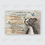 PITBULL - CANVAS I Thought Of You | Framed, Best Gift, Pet Lover, Housewarming, Wall Art Print, Home Decor