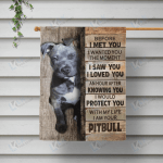 PITBULL - CANVAS Protect | Framed, Best Gift, Pet Lover, Housewarming, Wall Art Print, Home Decor