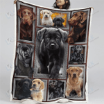 LABRADOR - FRAME Blanket [10-D] | | Gifts Dog Cat Lovers, Sherpa Fleece Blanket Throw, Home & Living