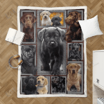 LABRADOR - FRAME Blanket [10-D] | | Gifts Dog Cat Lovers, Sherpa Fleece Blanket Throw, Home & Living