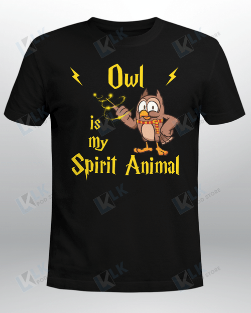 OWL - Spirit Animal