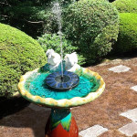 Solar Powered Bird Fountain