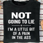 Not going to lie im a little bit of a pain in the a birthday gift t shirt hoodie sweater
