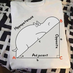 Hippopotenuse hippo mathematics triangle abc birthday gift t shirt hoodie sweater