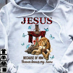 Jesus Because Of Him Heaven Knows My Name Lion Butterfly & Jesus Cross Hoodie Gift For Jesus Prayers