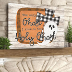 The Only Ghost I Know Is The Holy Ghost Cross't Short Best Gift For Ghost Lovers