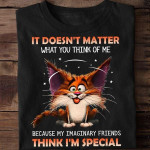 It Doesn't Matter What You Think Of Me Funny Sarcastic T-shirt Gift For Women
