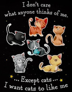I Don't Care What Anyone Thinks Of Me Expect Cats I Want Cats To Like Me T-shirt Gift For Cat Loves
