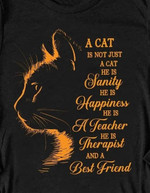 A Cat Is Not Just A Cat He Is Sanity Happiness Teacher Therapist And A Best Friend Black Cat Tshirt Gift For Cat Lovers