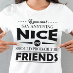 If You Cant Say Anything Nice We Should Probably Be Friends Funny Sarcastic T-shirt Gift For Women