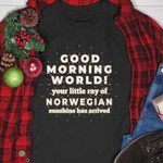Good Morning World Your Little Ray Of Norwegian Sunshine Has Arrived Funny T-shirt Gift For Norwegian