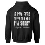 If I Have Ever Offened You I Am Sorry That You Are A Little Hoodie Best Gift For Girl