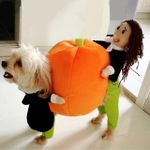 🎃EARLY-HALLOWEEN HOT SALE🎃 Pet Dog Pumpkin Halloween Costume