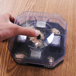 Reusable Cockroach Catcher Trap 🔥FREE SHIPPING🔥