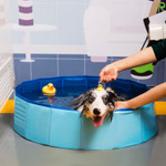 PORTABLE PAW POOL 🔥50% OFF - LIMITED TIME ONLY🔥