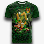 1stIreland Ireland T-Shirt - Raynolds Irish Family Crest T-Shirt - Ireland's Trickster Fairies A7 | 1stIreland