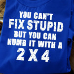 You Can't Fix Stupid But You Can Numb It With A 2x4 T Shirt Hoodie Sweater