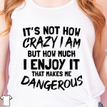 It's Not How Crazy I Am But How Much I Enjoy It That Makes Me Dangerous T Shirt Hoodie Sweater
