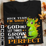 Dragon heck yeah i'm short god only let things grow until they are perfect T Shirt Hoodie Sweater