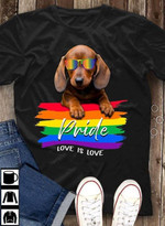 LGBT pride parade love is love T Shirt Hoodie Sweater