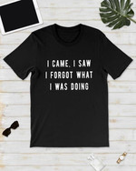 I came i saw i forget what i was doing T Shirt Hoodie Sweater