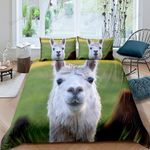 3D Alpaca Bedding Set Bed Sheets Spread Comforter Duvet Cover Bedding Sets