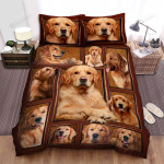 Golden Retriever Pictures Bed Sheets Spread Duvet Cover Bedding Sets