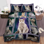Grey Cat Funny Cat Cat Galaxy Space English Shorthaired Cat And Domestic Shorthaired Cat Bed Sheets Spread Duvet Cover Bedding Sets