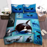 Orca Playing In The Water Bed Sheets Spread Duvet Cover Bedding Sets