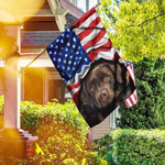 Chocolate Labrador Retriever. American Patriot Flag