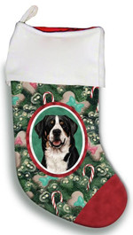 Greater Swiss Mountain Dog Christmas Stocking Christmas Gift Red And Green Tree Candy Cane