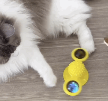 Cat Spinning Windmill Toy 🔥 FREE SHIPPING🔥