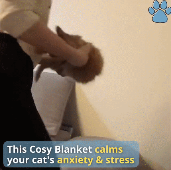 Cozy Calming Pet Blanket 🔥 FREE SHIPPING 🔥